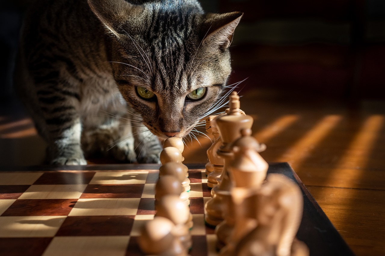 ¿Cómo se llama el tablero de ajedrez?