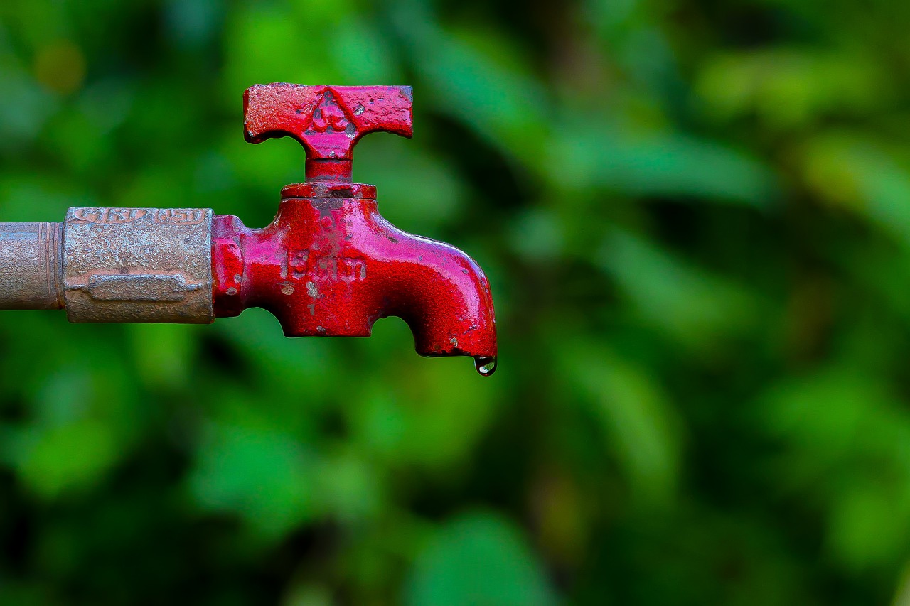 ¿Cómo disminuir el consumo de agua en la ducha?