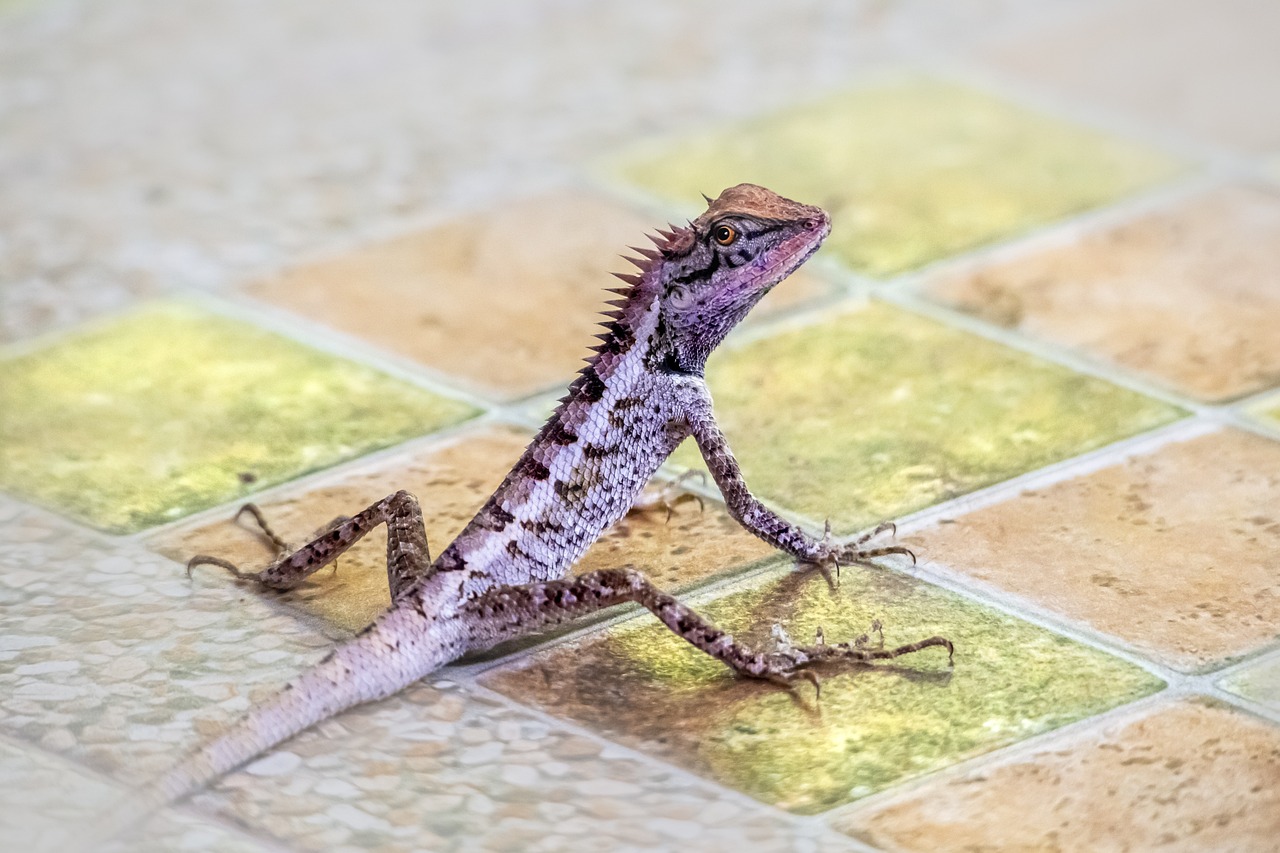 ¿Cómo cambiar el color de un piso laminado?