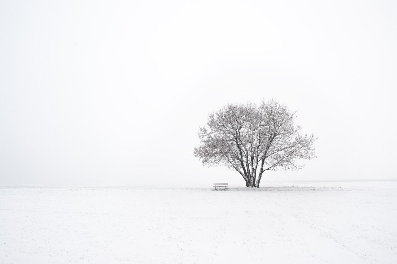 ¿Qué es línea minimalista?