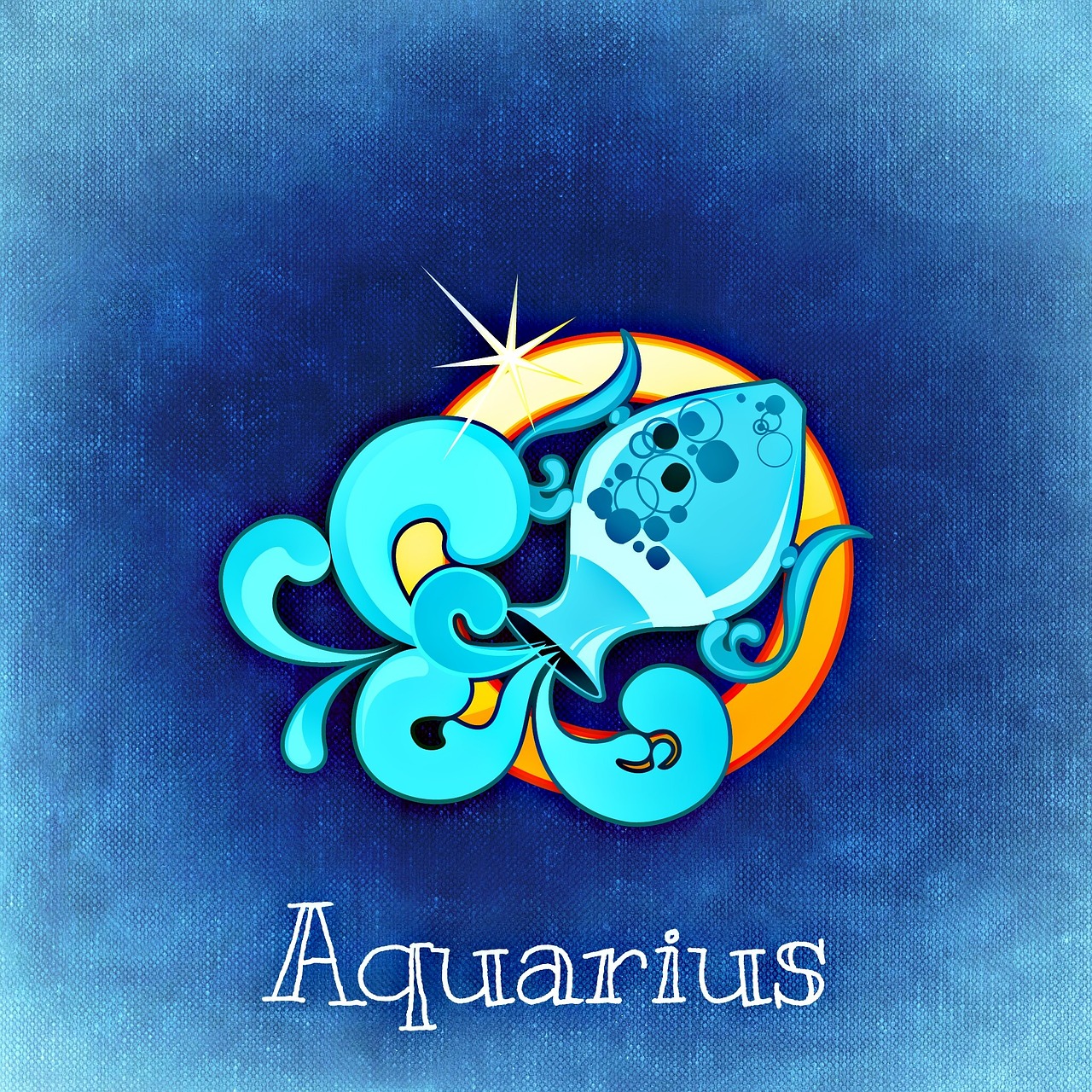 ¿Quién creó el Aquarius?