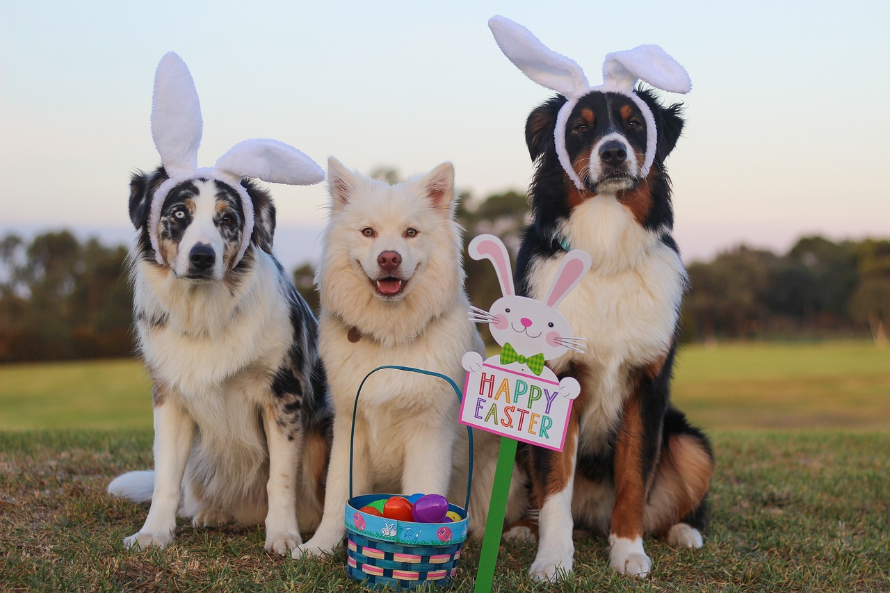 ¿Qué es la Pascua de Navidad?