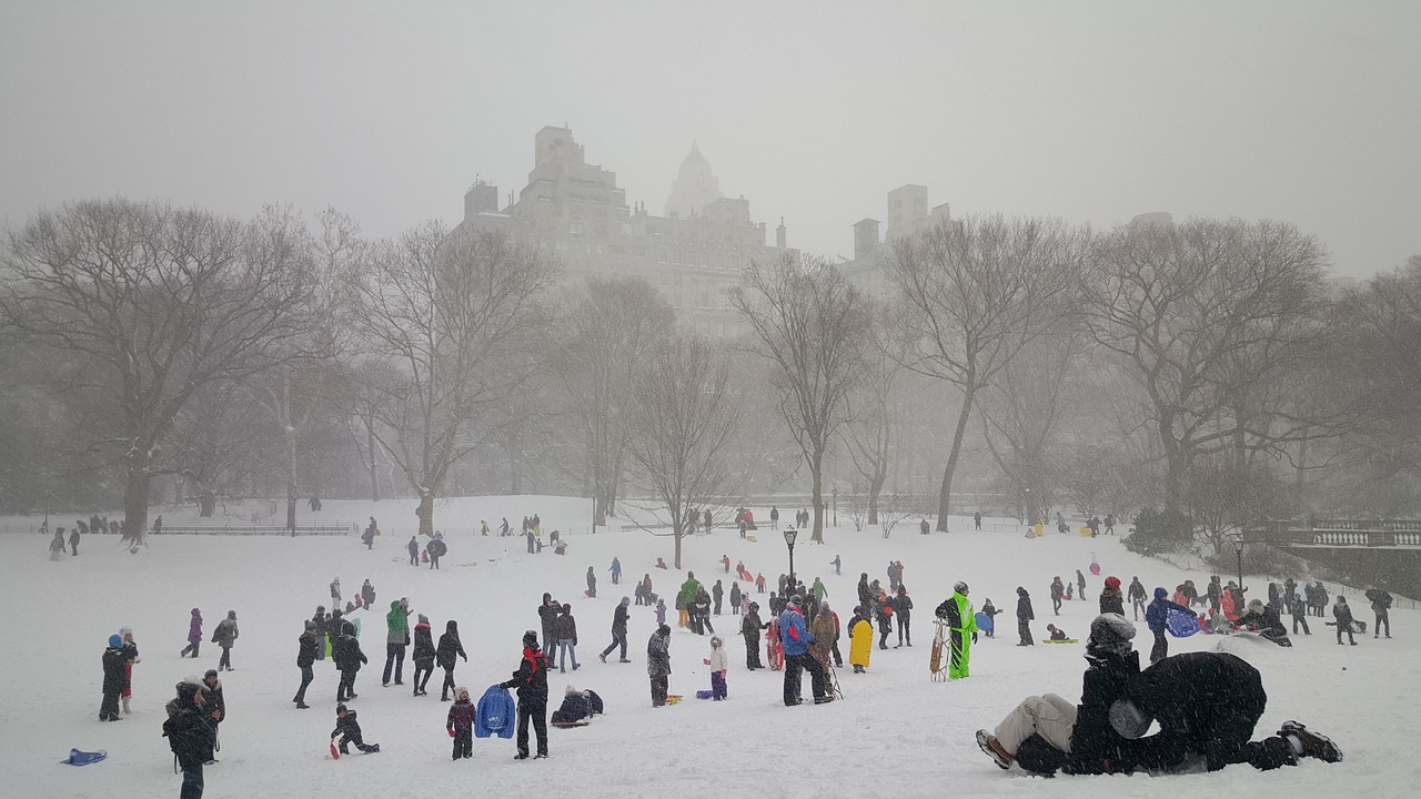 ¿Cuánto cuesta la entrada al Central Park?