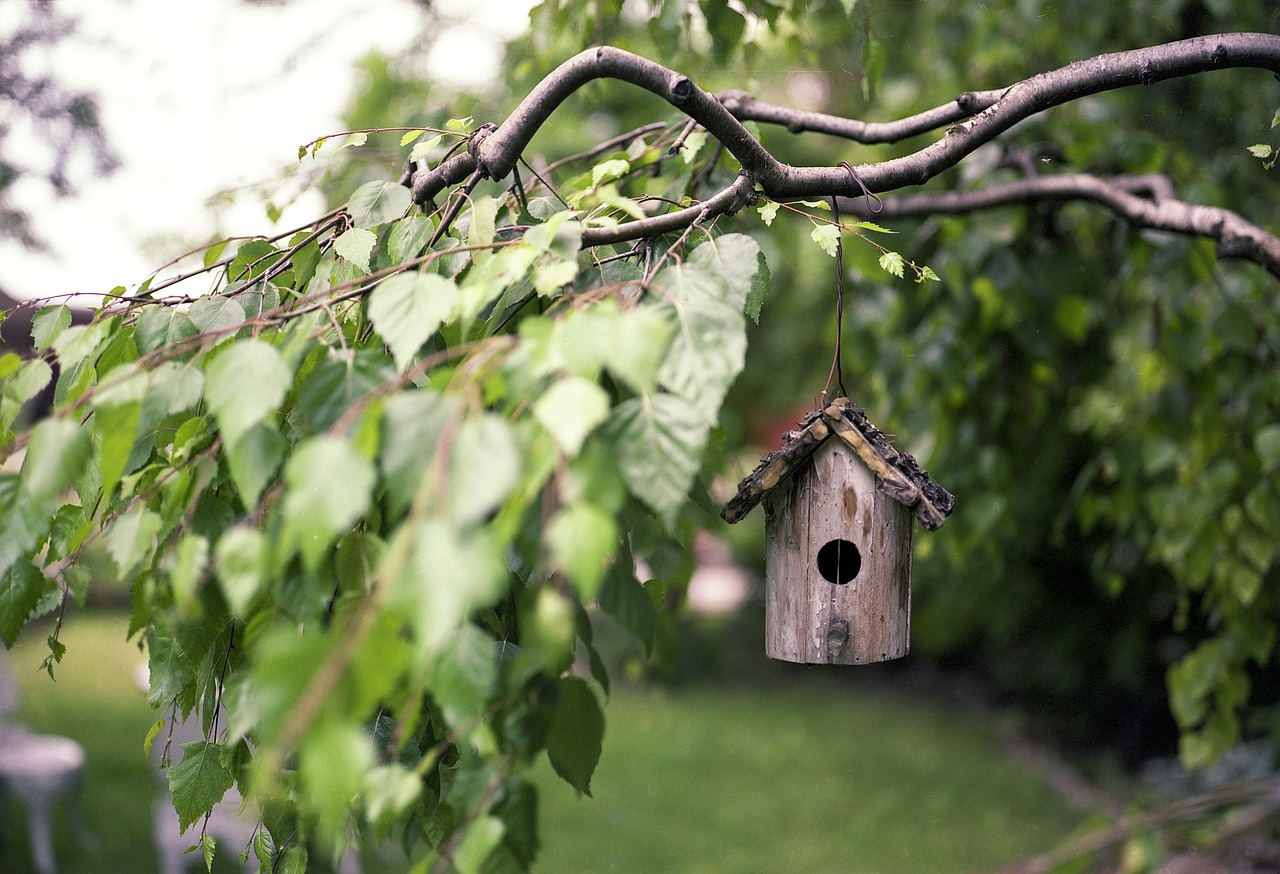 ¿Qué es un jardín de interiores?