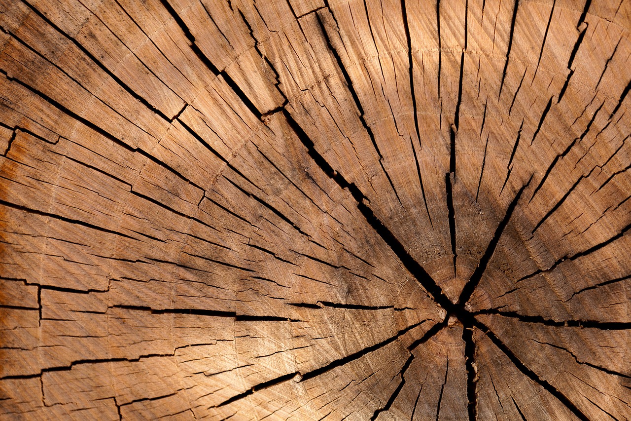 ¿Cómo eliminar las vetas de la madera?