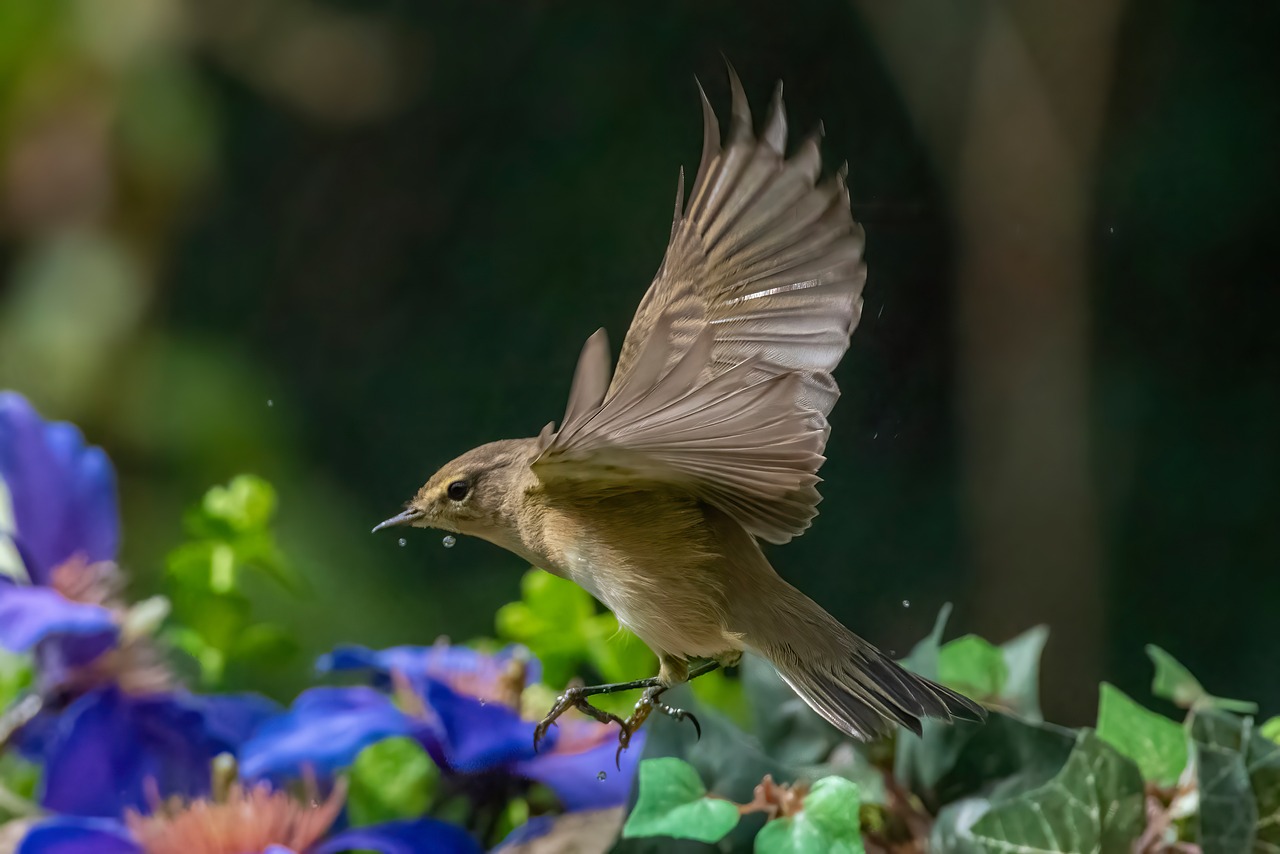 ¿Qué material se necesita para hacer un mosquitero?