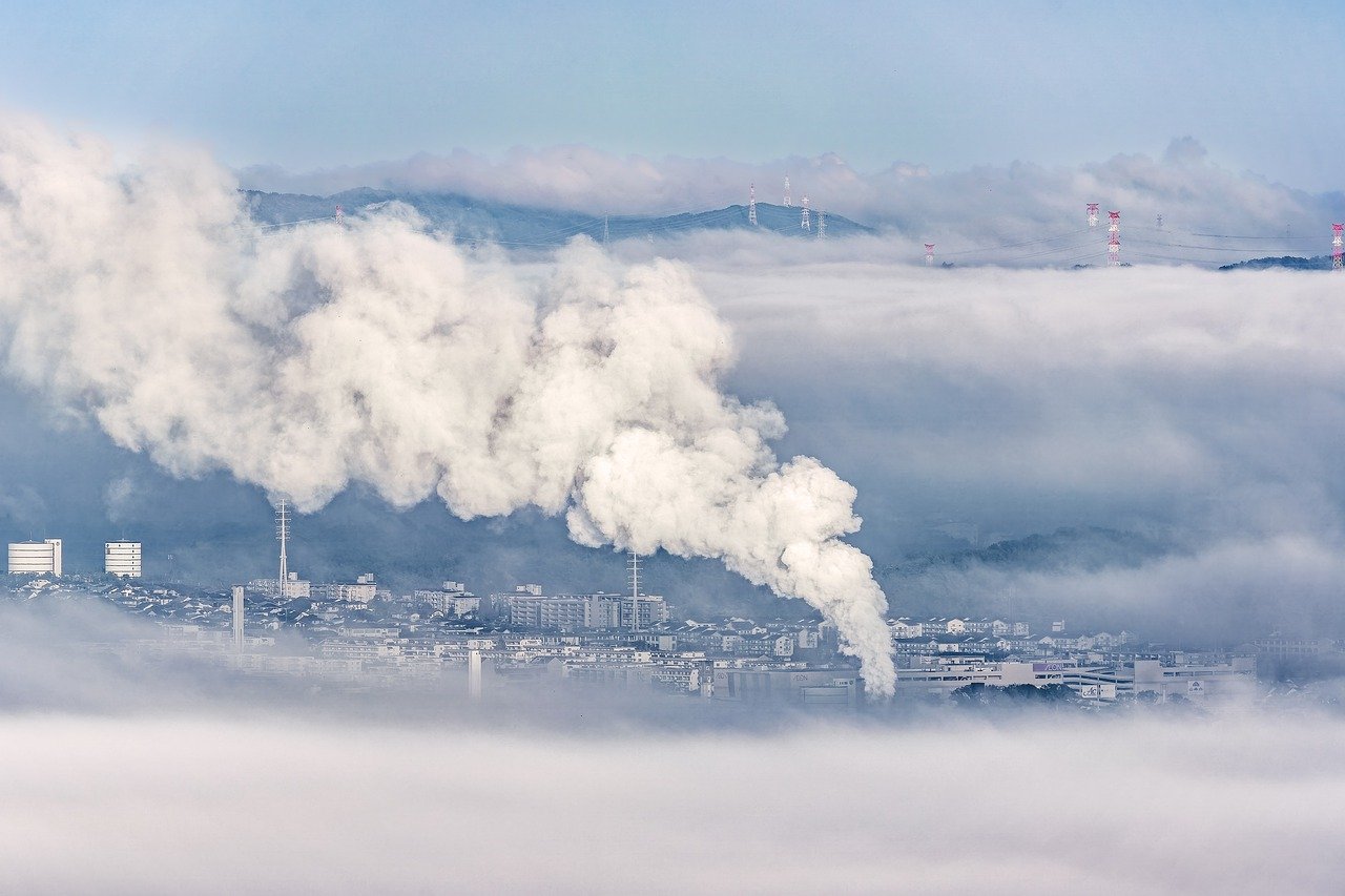 ¿Qué acciones podemos tomar para el cambio climático?