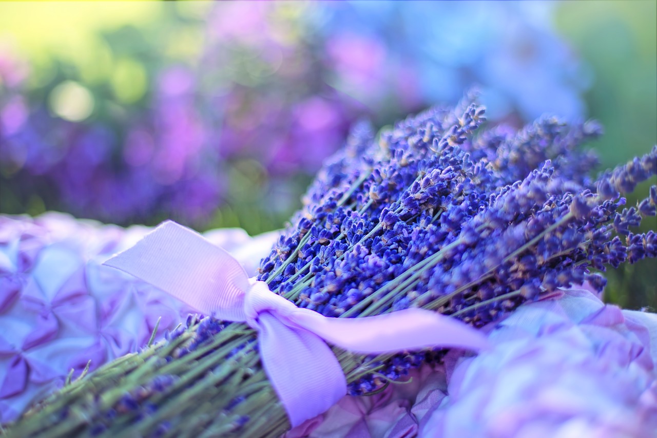 ¿Qué significa tener una planta de lavanda en la casa?