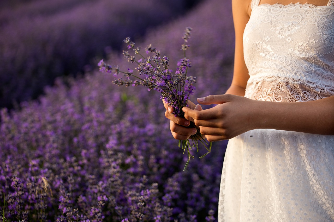 ¿Cómo es el arbusto de lavanda?