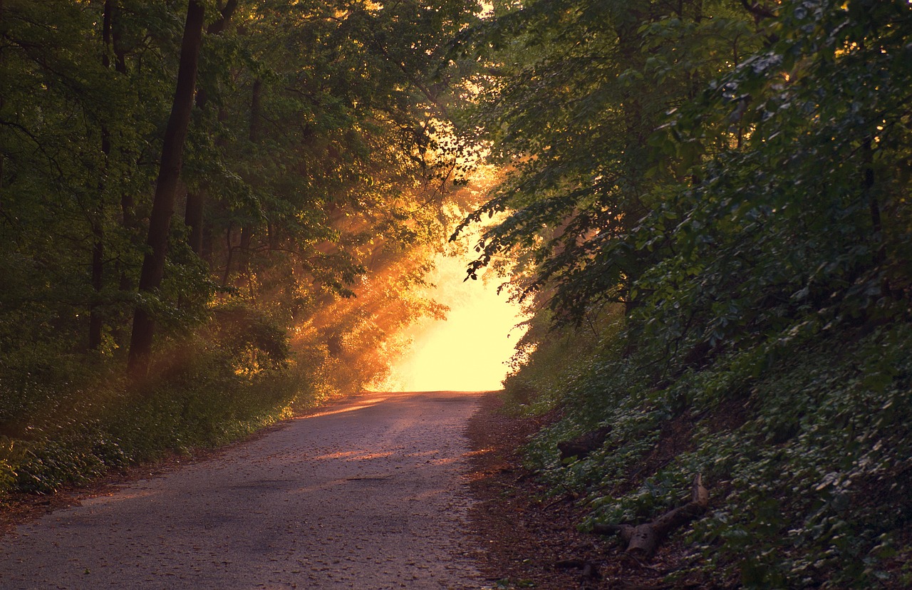 ¿Qué canción poner para un atardecer?