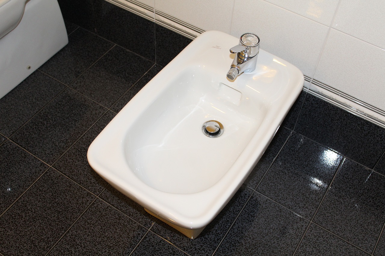 ¿Cómo se usa correctamente el bidet?