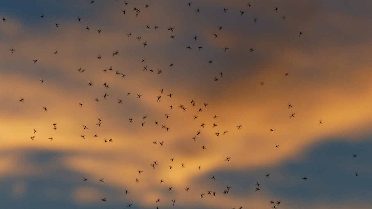 ¿Qué color de luz repele los mosquitos?