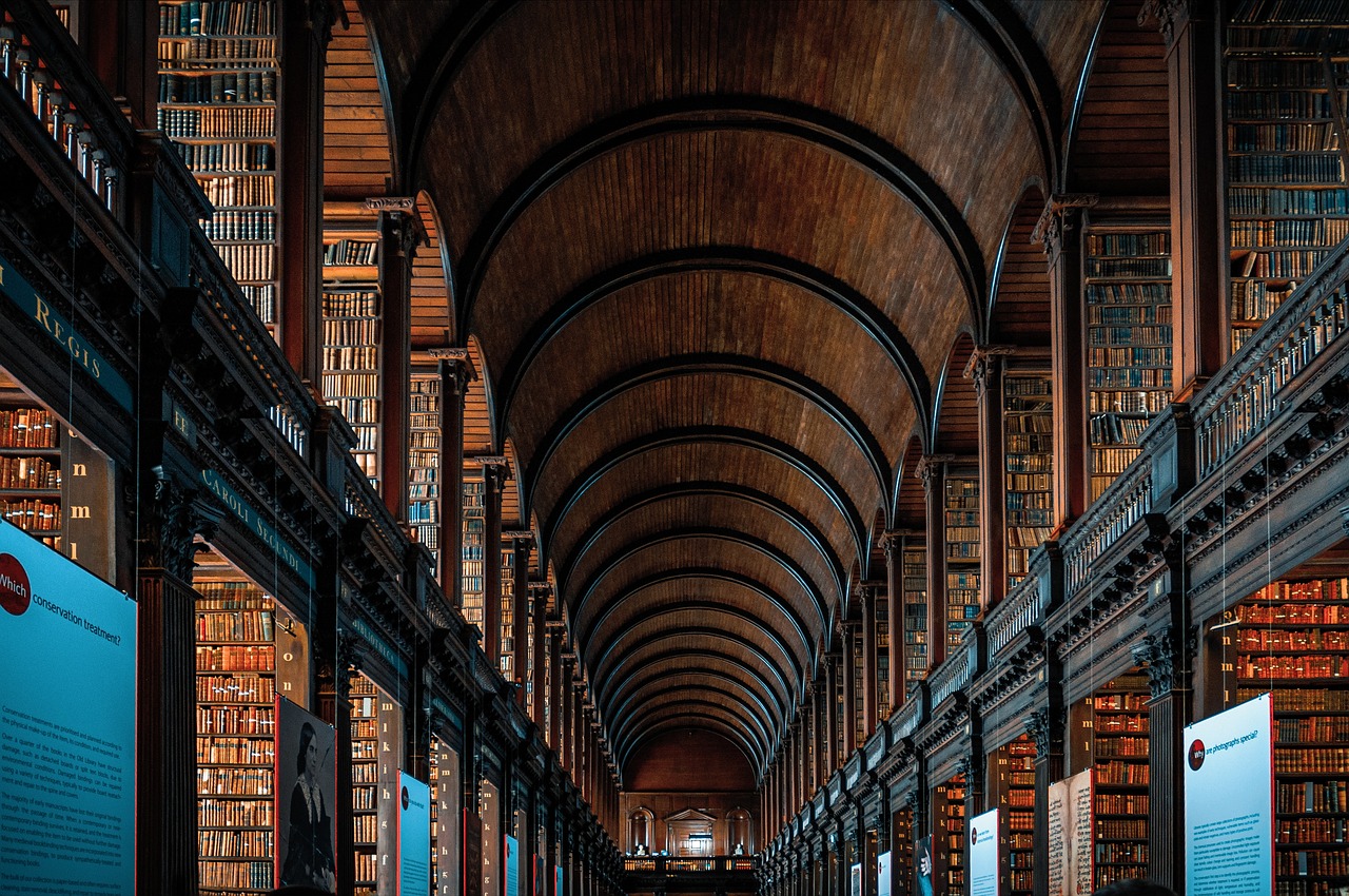 ¿Cómo se ordenan los libros en una librería?