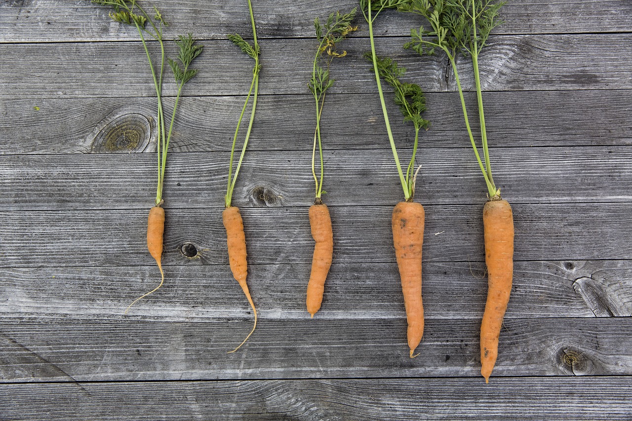 ¿Qué es lo mejor para plantar en un huerto urbano?