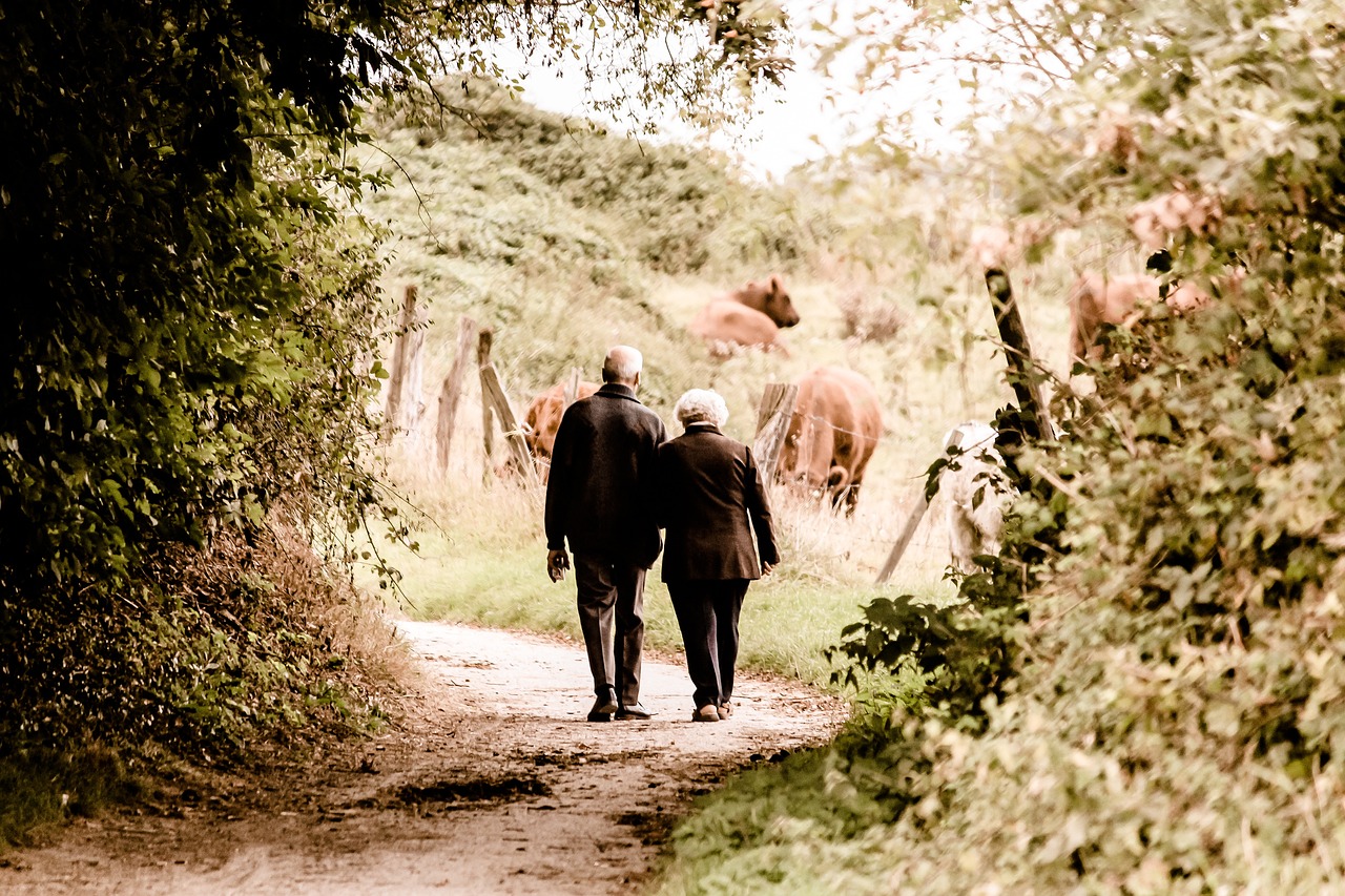 ¿Quién es la pareja de dama?