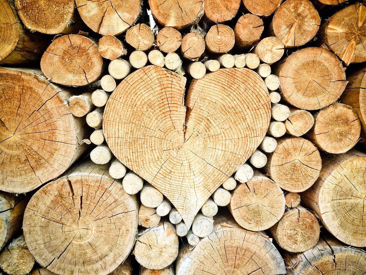 ¿Qué es mejor madera de pino o roble?
