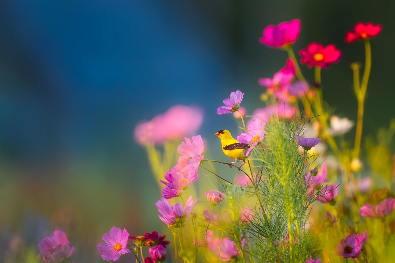 ¿Qué plantas dan oxígeno por la noche?